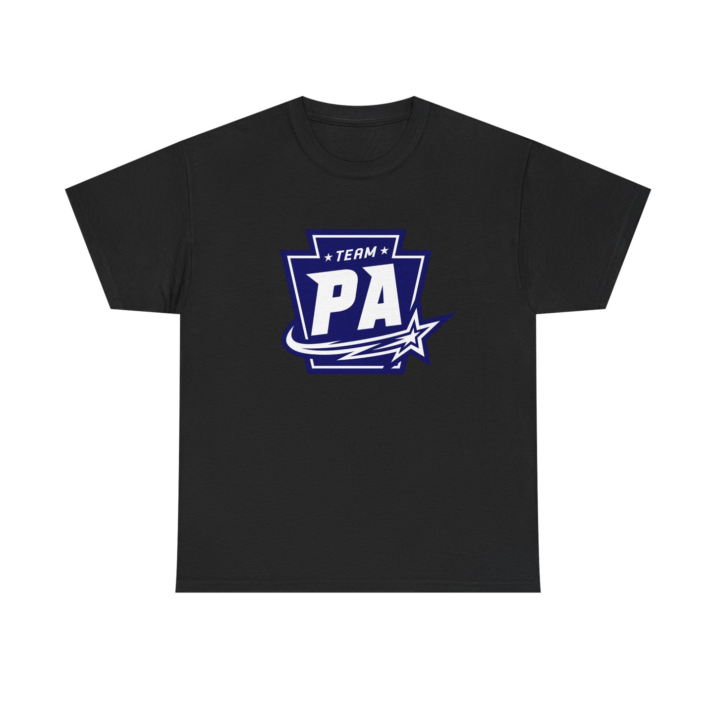 Unisex Heavy Cotton Tee - Future Stars Emblem - PA