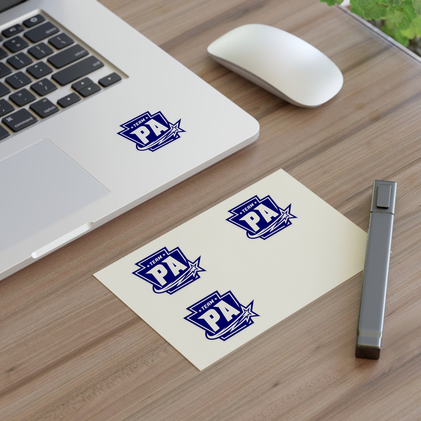 Sticker Sheets FS PA