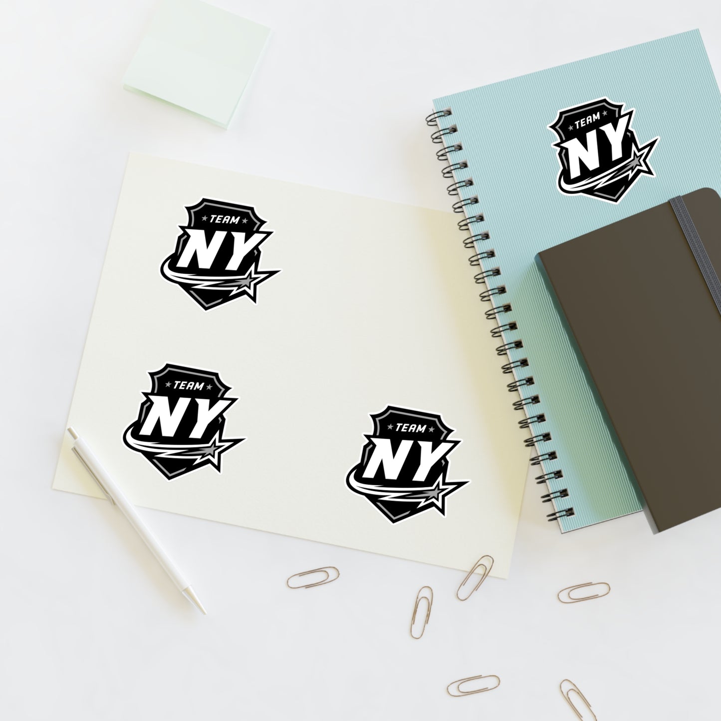 Copy of Copy of Copy of Sticker Sheets FS NY