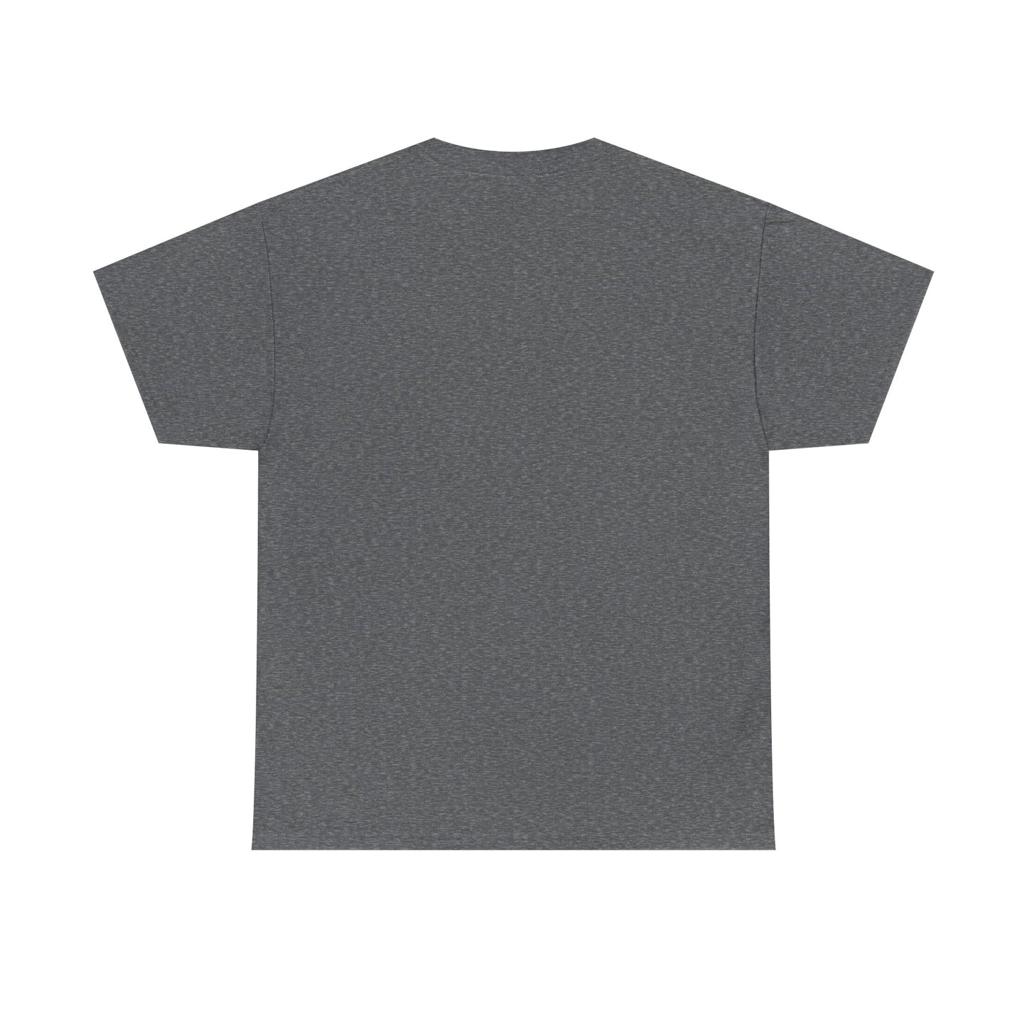 Unisex Heavy Cotton Tee - Future Stars Emblem - PA