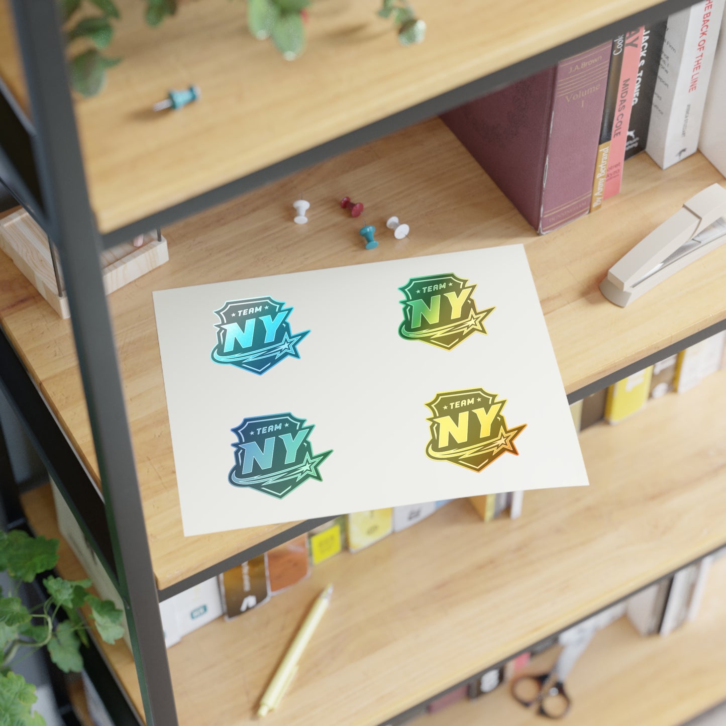 Copy of Copy of Copy of Sticker Sheets FS NY
