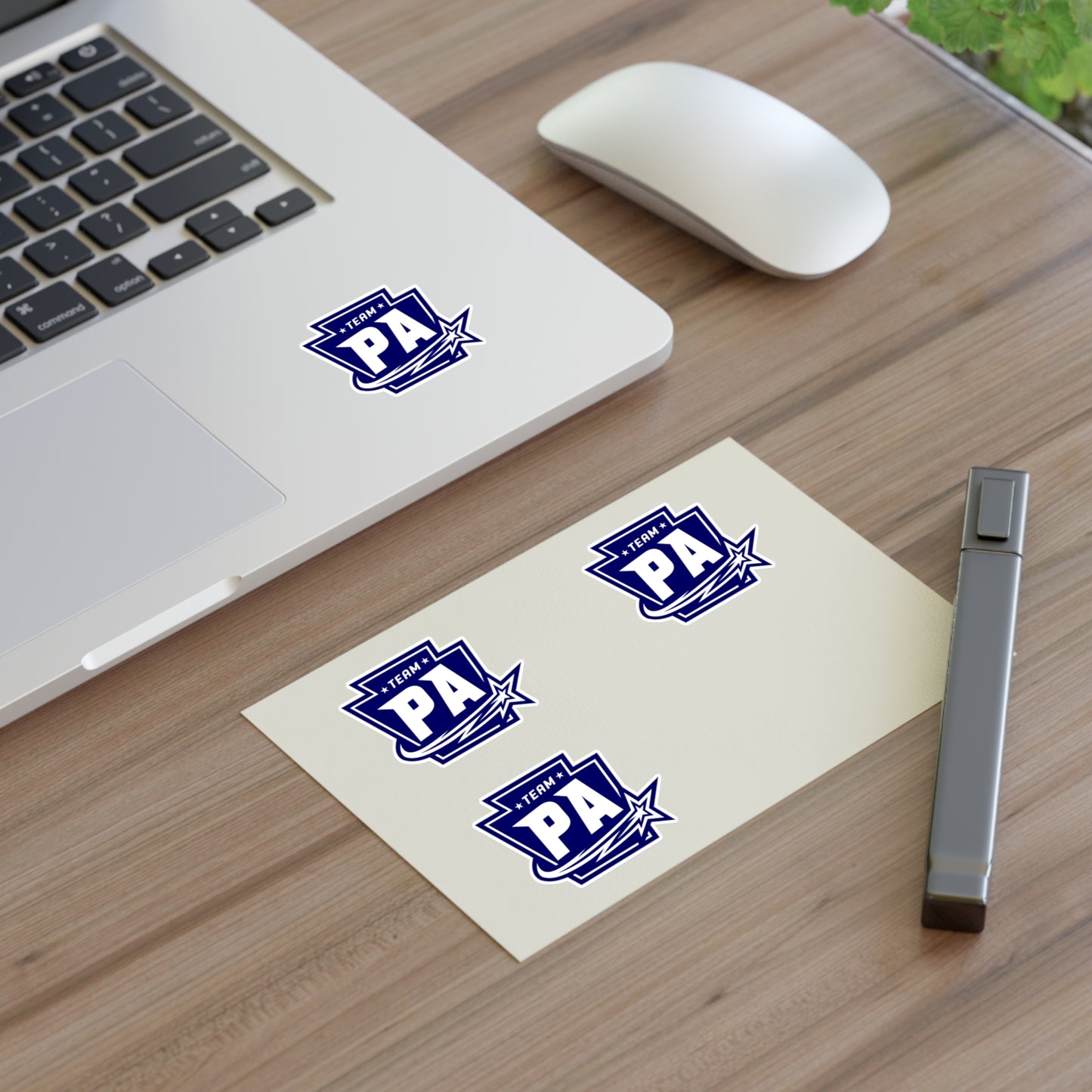 Sticker Sheets FS PA