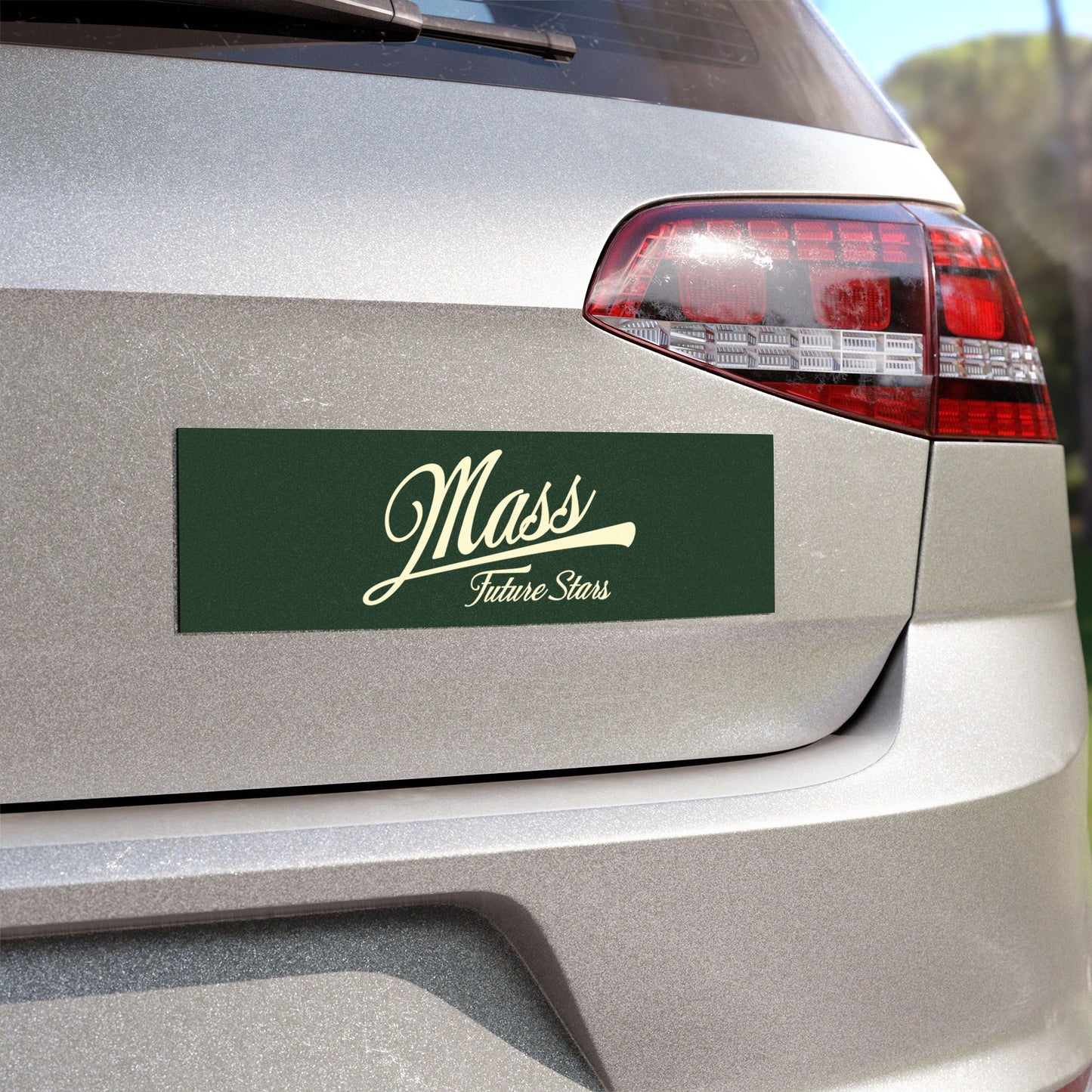 Car Magnets FS MA