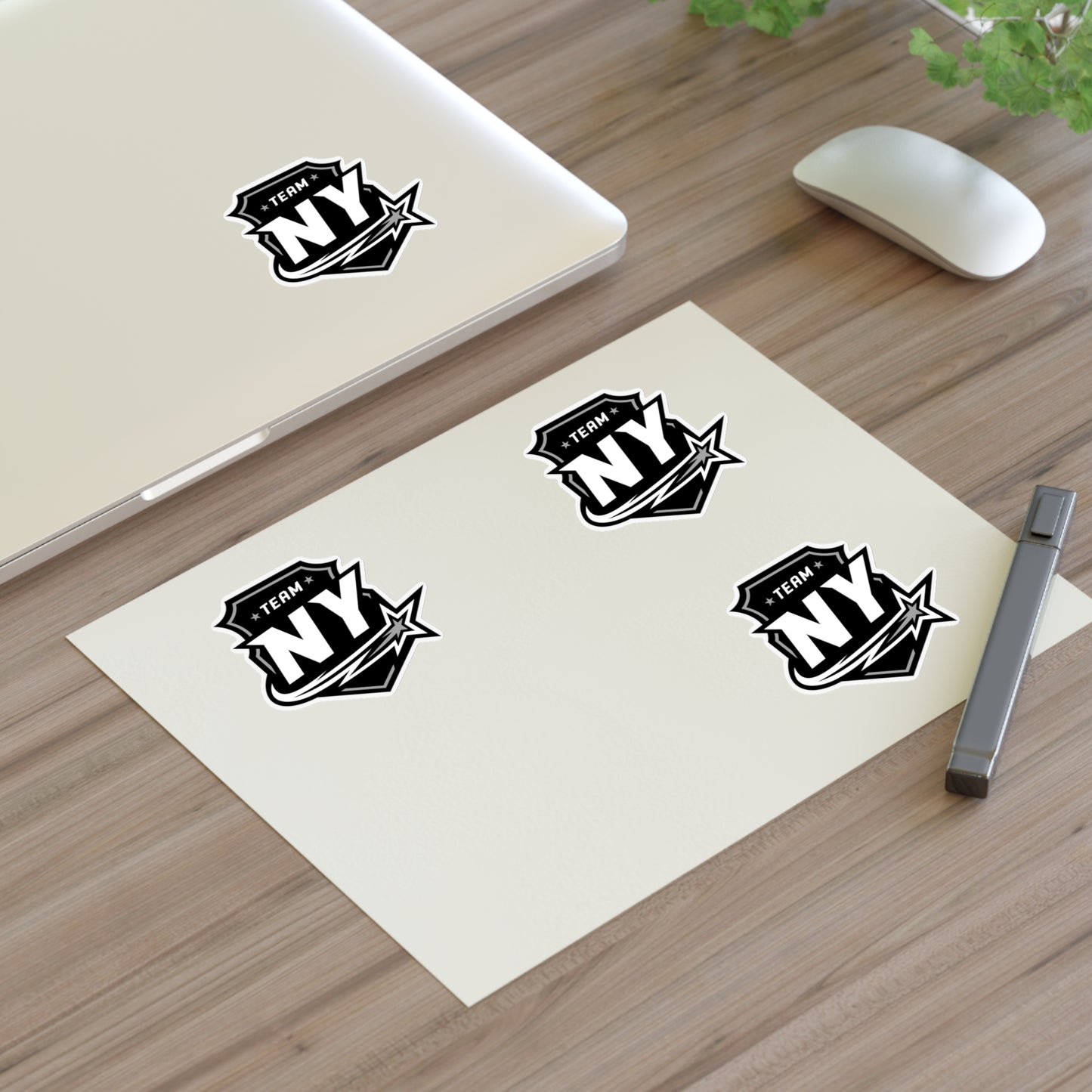 Copy of Copy of Copy of Sticker Sheets FS NY