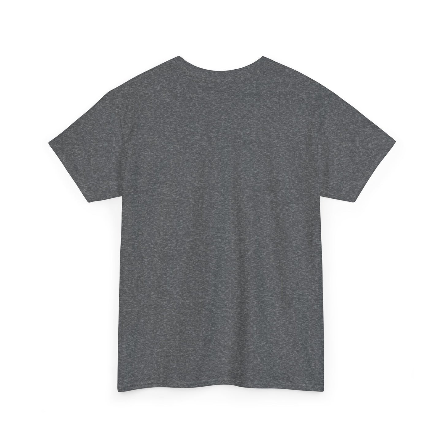 Unisex Heavy Cotton Tee - Future Stars Emblem - PA