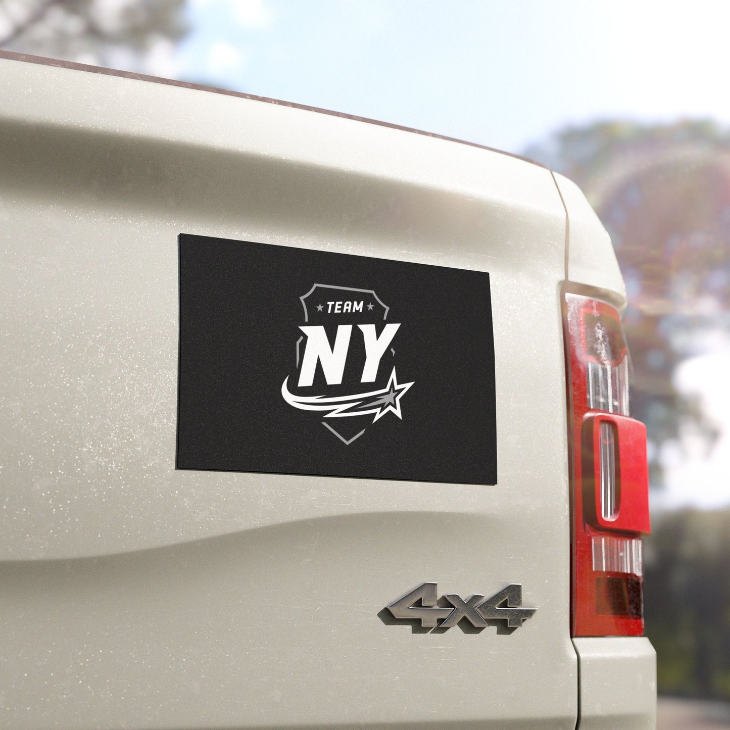 Car Magnets FS NY (2 sizes)