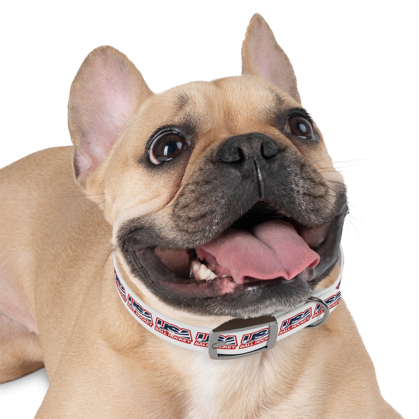 USABH Dog Collar