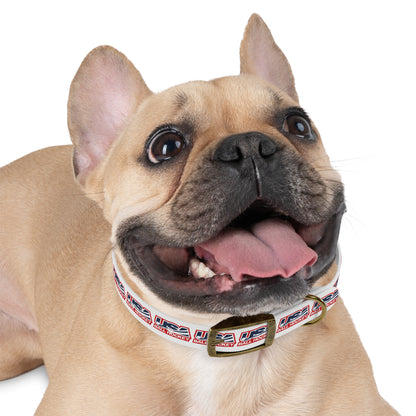 USABH Dog Collar