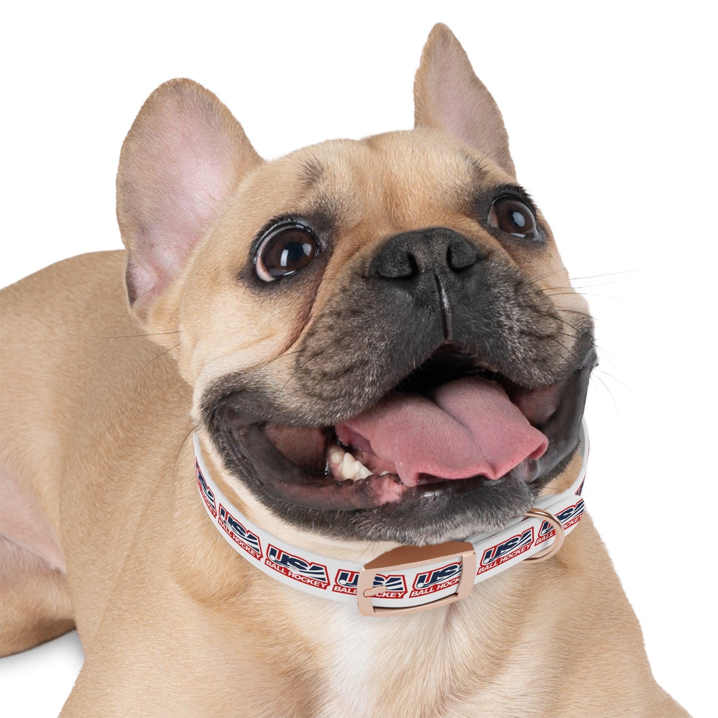 USABH Dog Collar