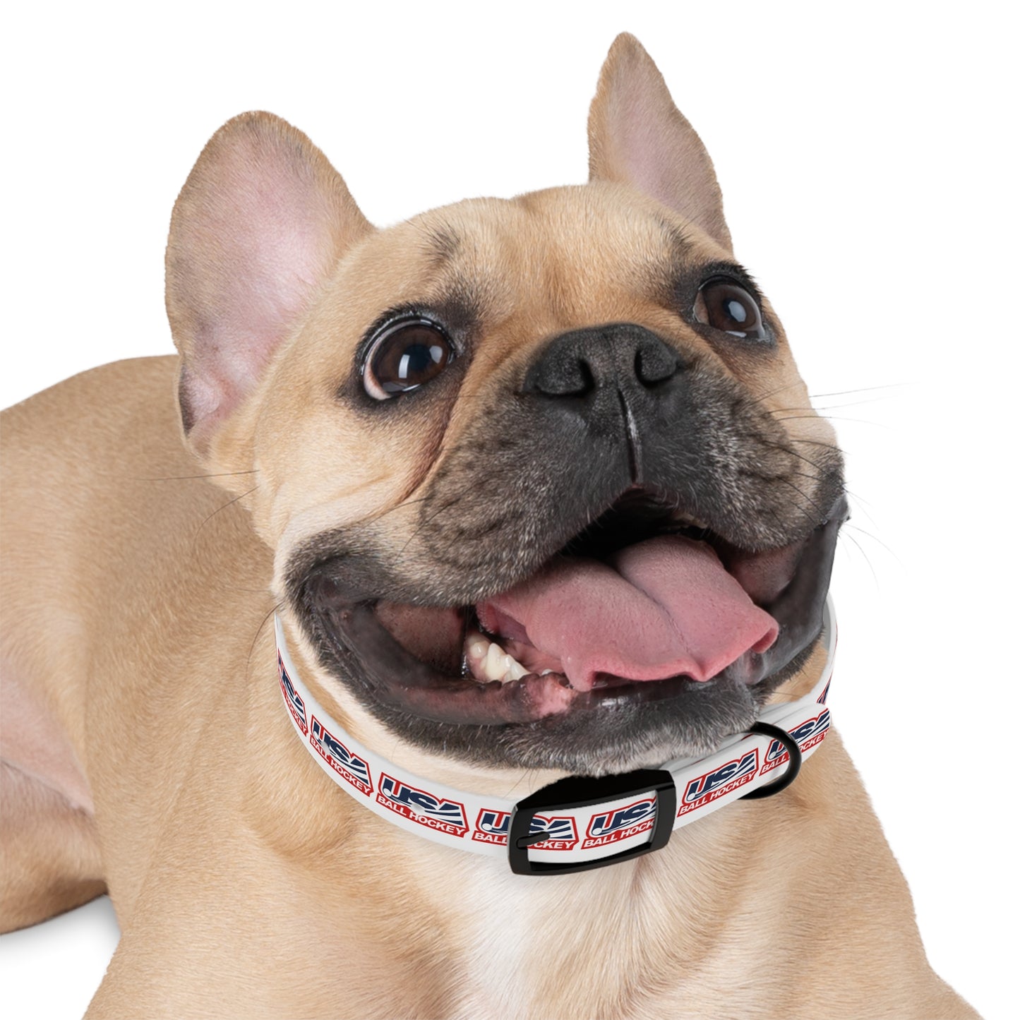 USABH Dog Collar